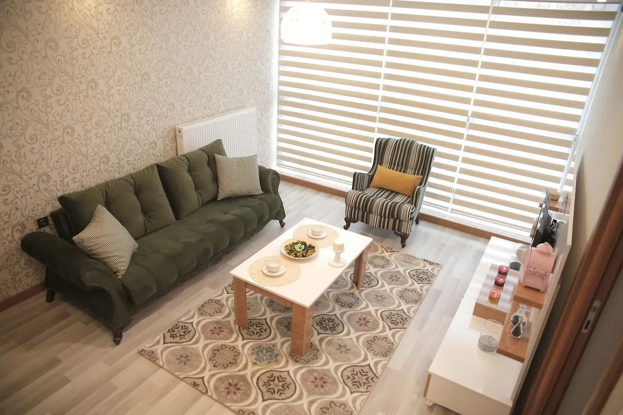 M Suit Apartments Άγκυρα
