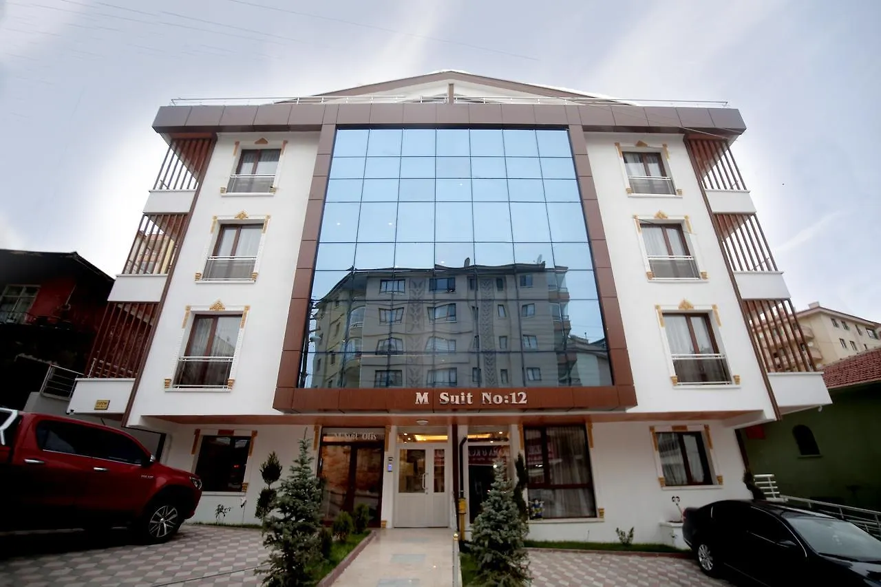 M Suit Apartments Άγκυρα Τουρκία