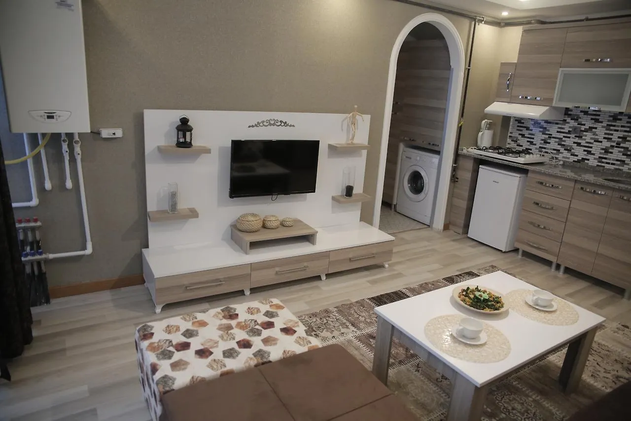 M Suit Apartments Άγκυρα